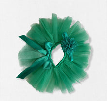 Load image into Gallery viewer, Baby Girl tutu set - Baby One Baby Two
