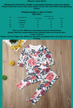 Load image into Gallery viewer, Floral Ruffle 2-piece lightweight sweatshirt with pants - Baby One Baby Two
